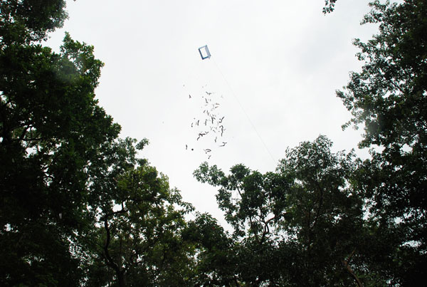 1-DSC_0048 (107)